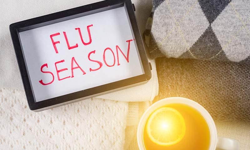 Temporada de gripe 2019 2020