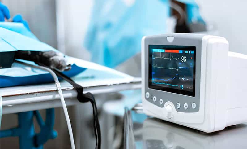 Infección por moho en bebés