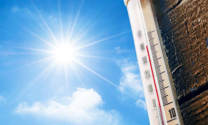 Isı Dalgası Etkileri