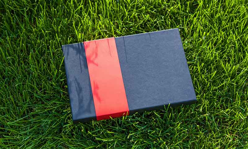 le sexe révèle une traînée de poudre