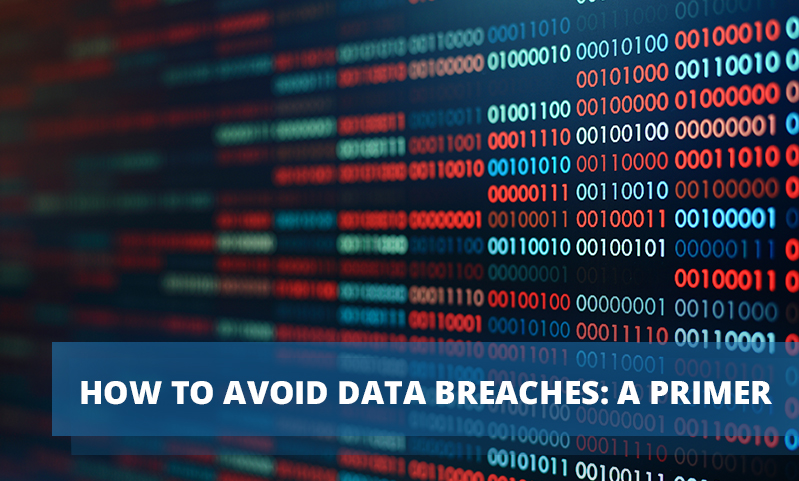 How to Avoid Data Breaches A Primer